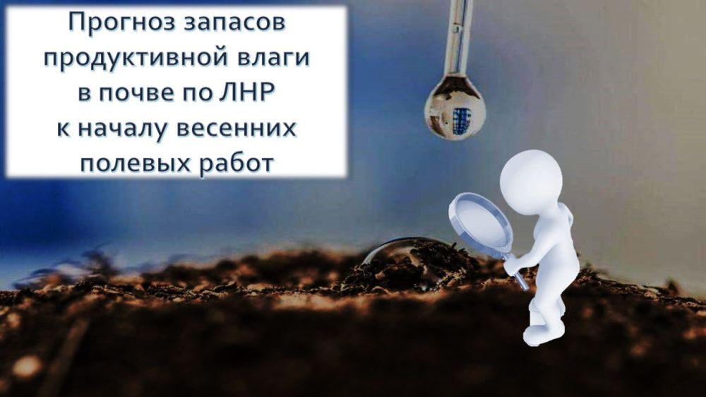 ������� ������� ������������ ����� � ����� �� ��������� �������� ���������� � ������ �������� ������� ����� � 2025 ����