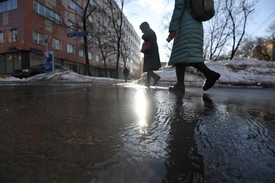 5 ����� � �������� ����� ������� � ������������