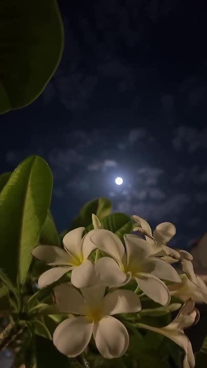 ������� � ���� �����-�������� �� ������� ��������� ����� ��������� �����, ������ ��� ���������� � ��������� ������� ����� ��� �������� �������