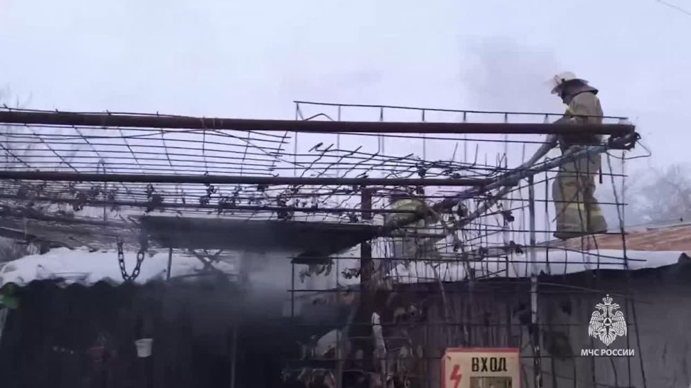 ��������� ���������������������� ��������� �������� � �. �������� ������� ������ ������ � ����������