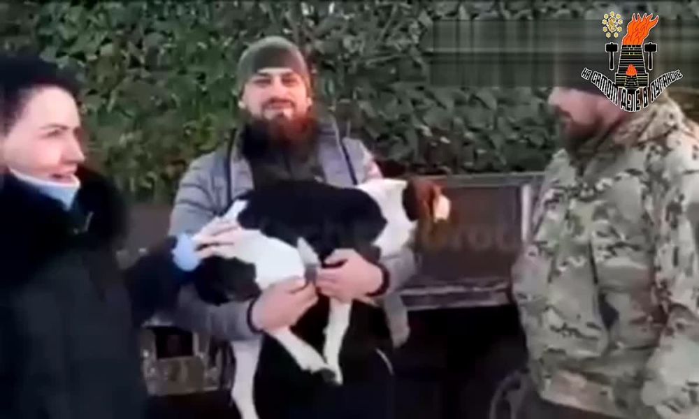 ��� ���� ������ � ������������ �������