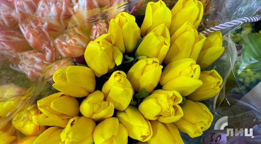 ����� � ������ �������� ����� ������ ����������� ������� � 8 �����