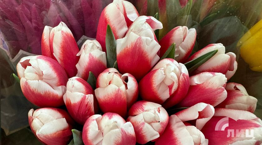 ����� �� ��� ��������� ����� 100 ���. ��������� � 8 �����