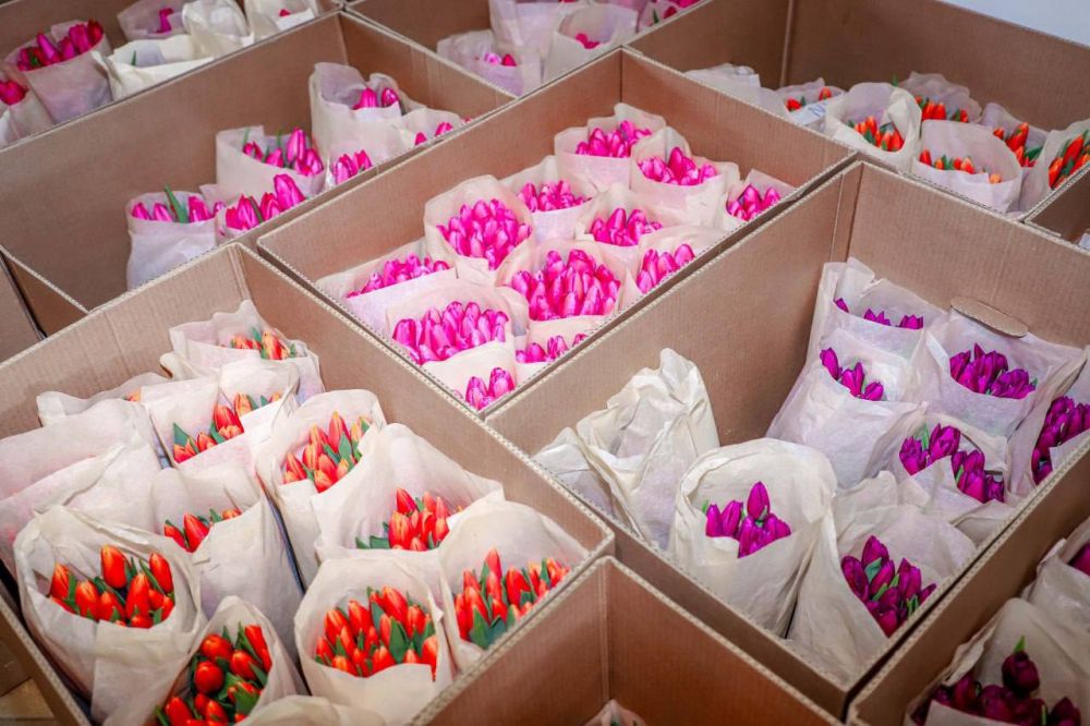 �������� ���� ����� � �������� �������� �� �������� ��������� � ������� ����� 100 ���