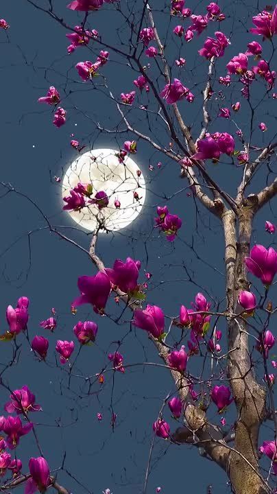 Пусть даст Господь уснуть тебе беспечно, Пусть победит всех яростных врагов, Пусть осветит Он душу безупречно, Не будет пусть к грехам твоим суров