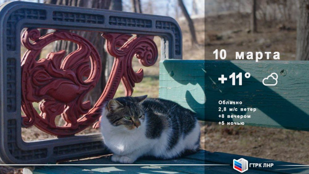 ������ ����, ��������� �������� ����������!