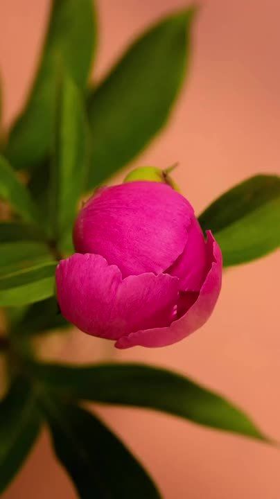 Ты — единственный автор всего, что с тобой происходит