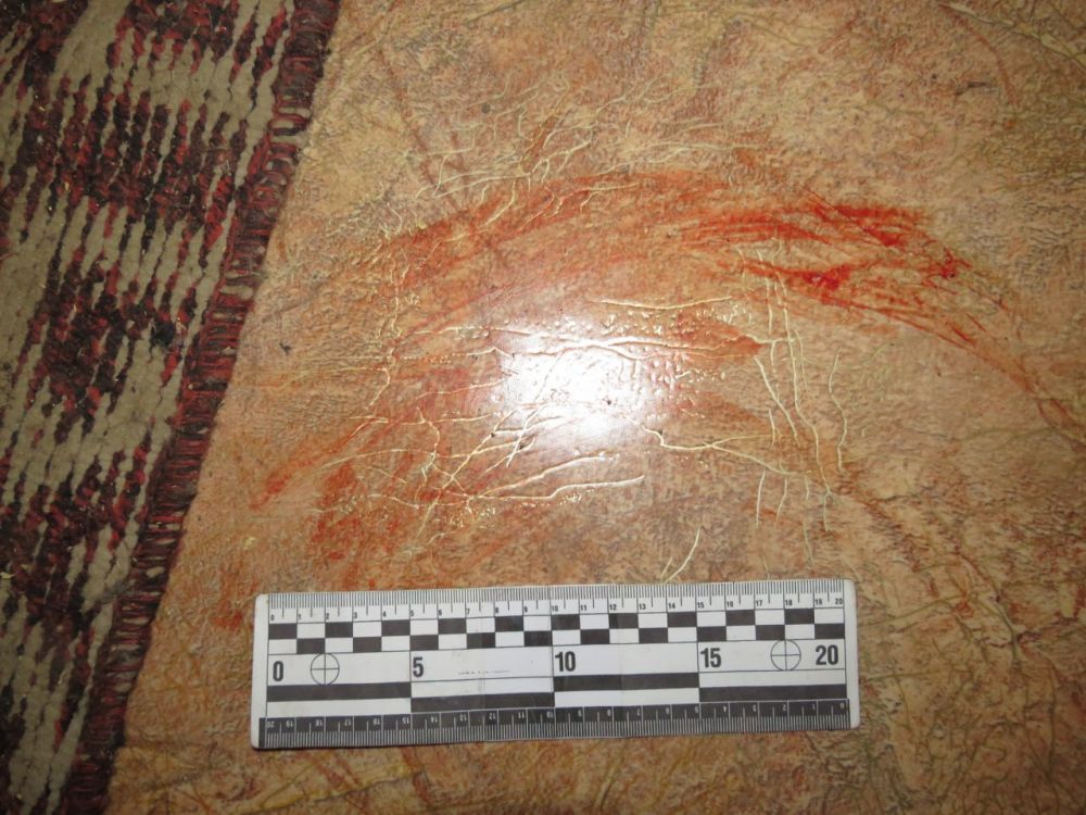 Стахановские полицейские задержали 32-летнюю жительницу Ирмино, ударившую ножом знакомого