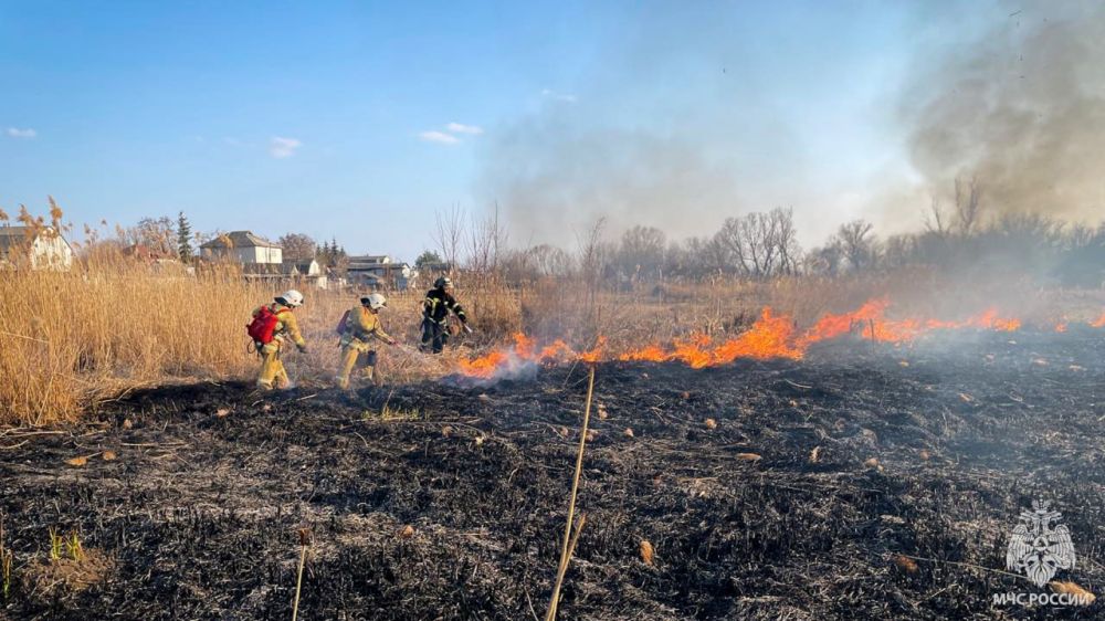 За минувшие сутки в Республике выгорело около 60 гектаров сухостоя