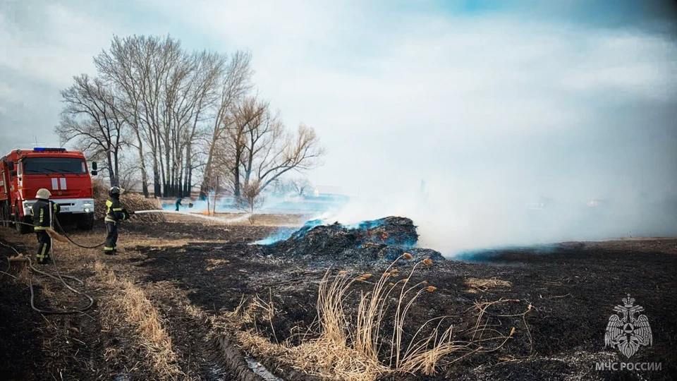 В ЛНР за сутки произошёл 21 сухотравный пожар