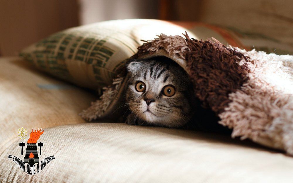 �������� ������, �������� �����