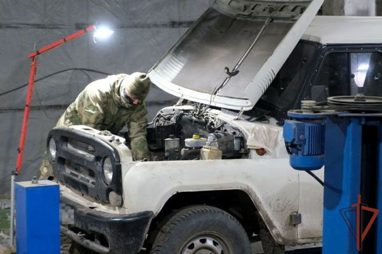 ������������� ������������ ����������� ���������� ����������� ������ ����������� ������������ ������� � ��� (�����)