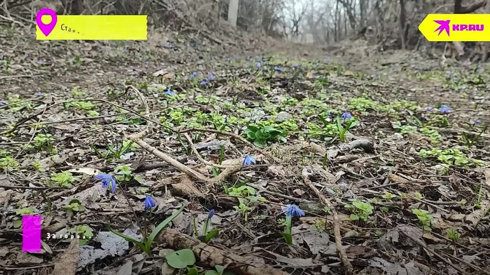 �� �������� �� �����. ��� ������ ������� �������. ��������� ����� � ������ �������