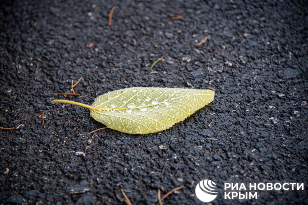 ������ �� ����� ����������� ������