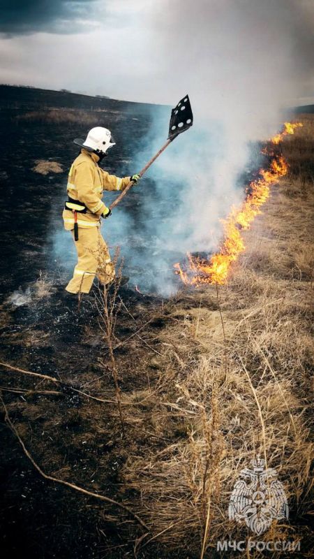 � ��� �� ��������� �������� ��������� 96 �������, 76 �� ������� � �� �������� �����������