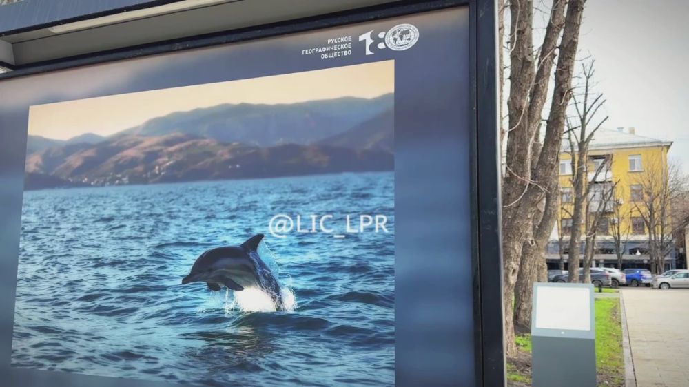 �� ������� ���������� ������������ �