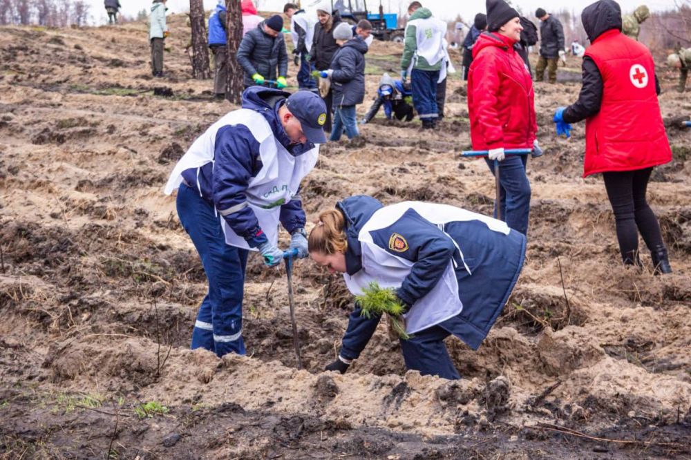 ������ ��������: � ��� 80-����� ������� ������ �� ���������� ���������� �������� ������ ������� � ������ ������� ������ ����� ���� ������