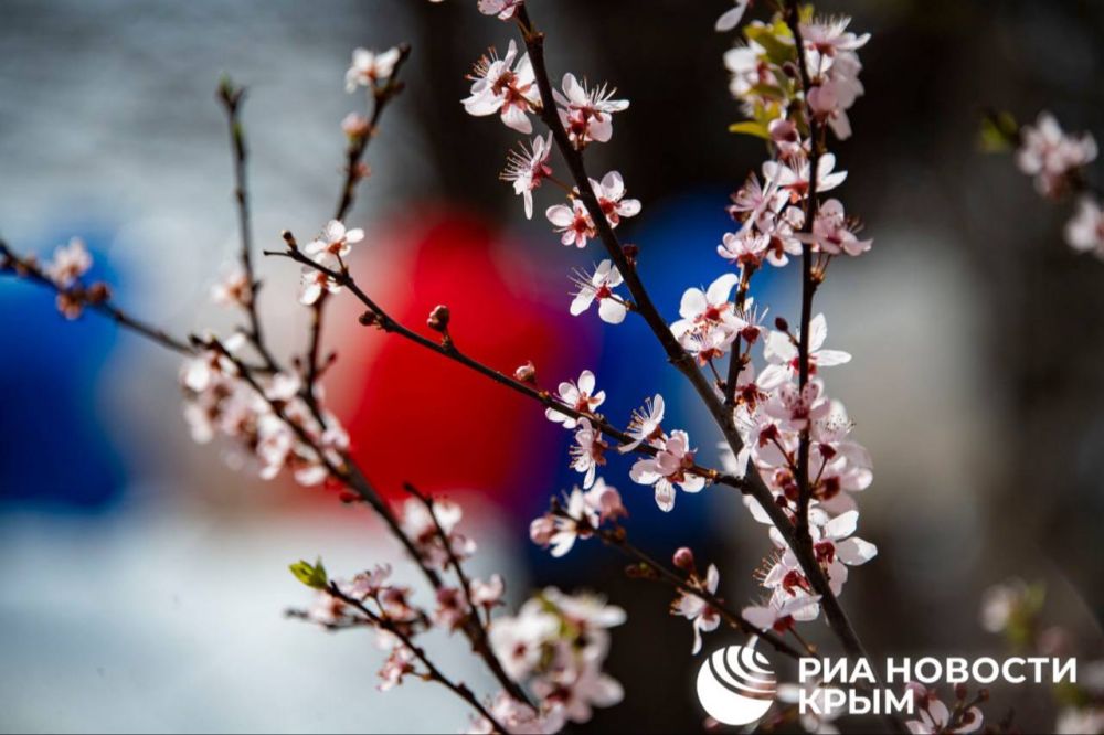 ������ �� ����� ����������� ������