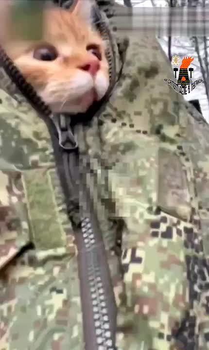 �������� ��������, ���� �� ������� � �����, ������ ����� ���������� � ���������� ������� ������