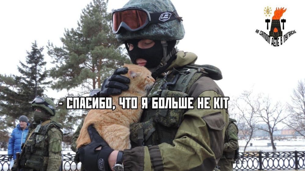 �������, 18 �����, ���� � ����������� ��������� � ������ ������