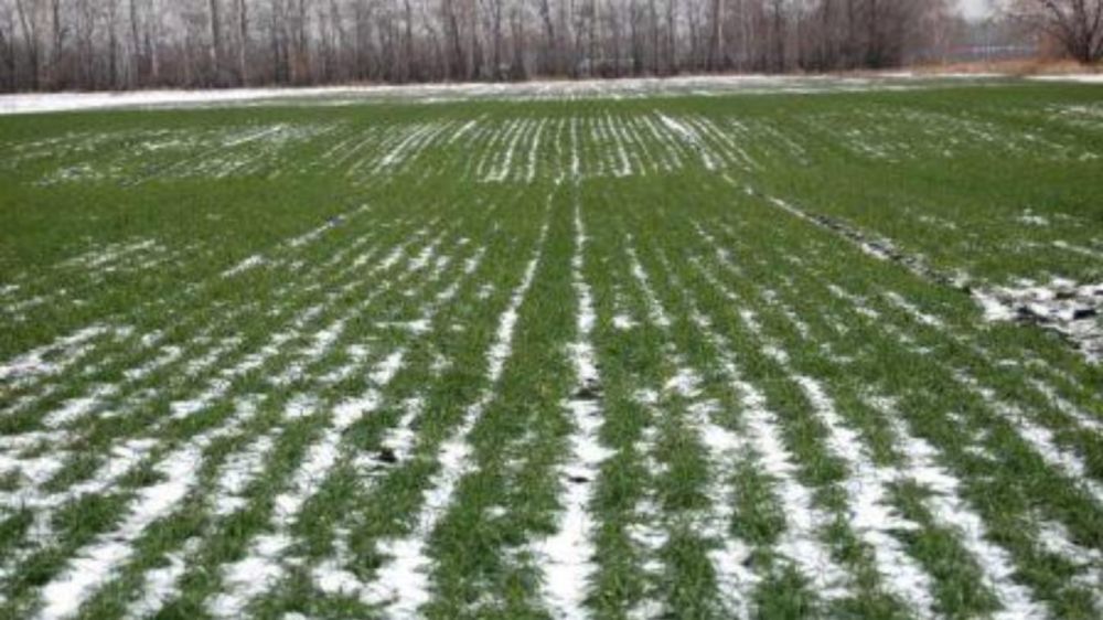 �������� �����. ��� ���� ��������� ������ � ����� ���