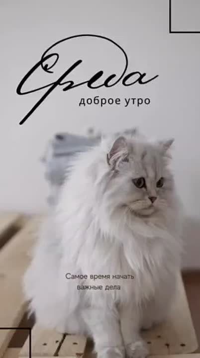 ������� � ����. �� ���������� ������