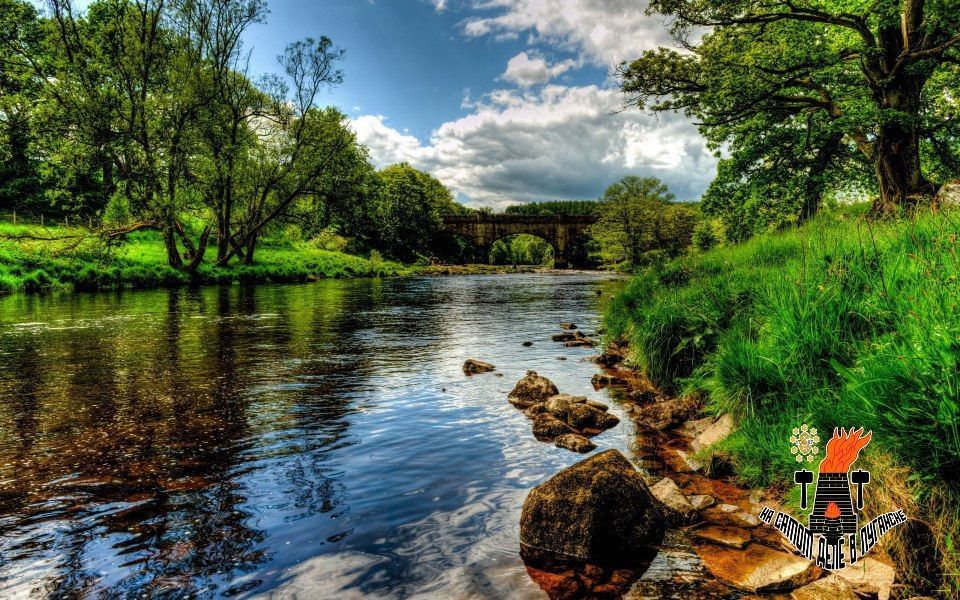 � ����� �������� ���������� ������� ��������