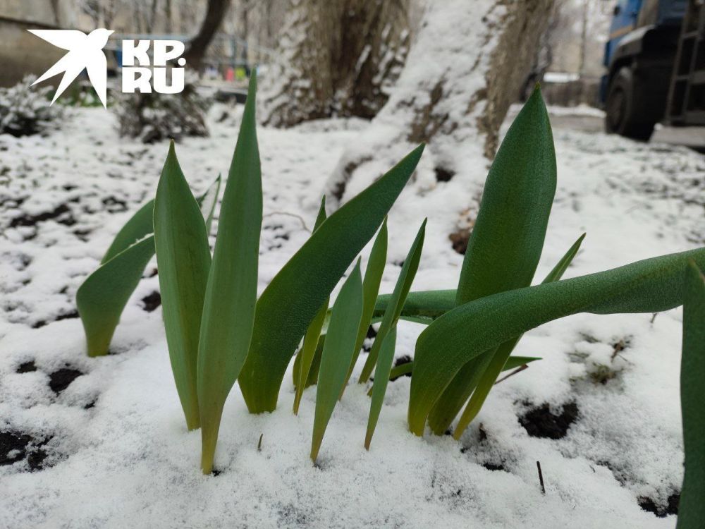 ����� ����. ���� � �������� �������� �� �����