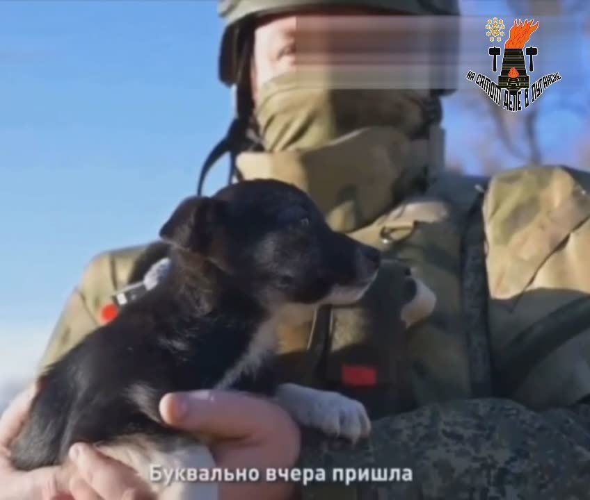 �����������, ����. ����� �������� �����. ������ ���������, �� ���� ��� ����, � ����� ��� ����� ���� ������ � ������ ����������� � ����� ������������ ������ ����������������������. �������� �������, ��� ����� ���������� ��� �...