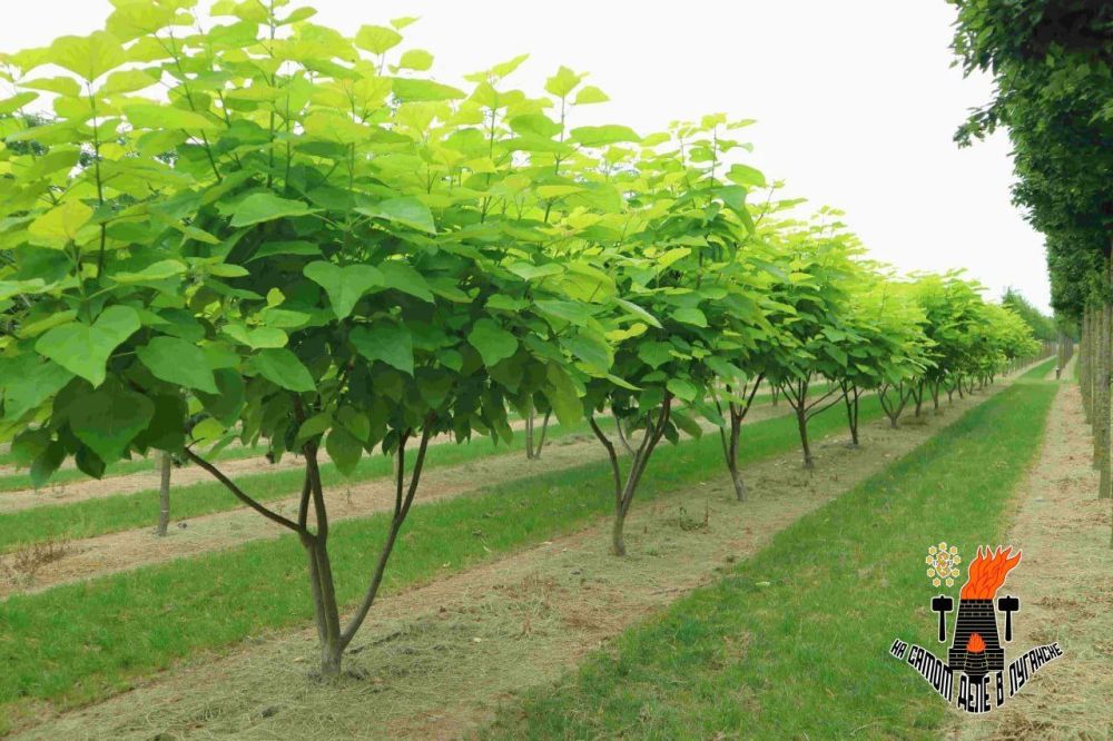 ��������, ���� � ������ ������� ���������� ����� ������ � ��������