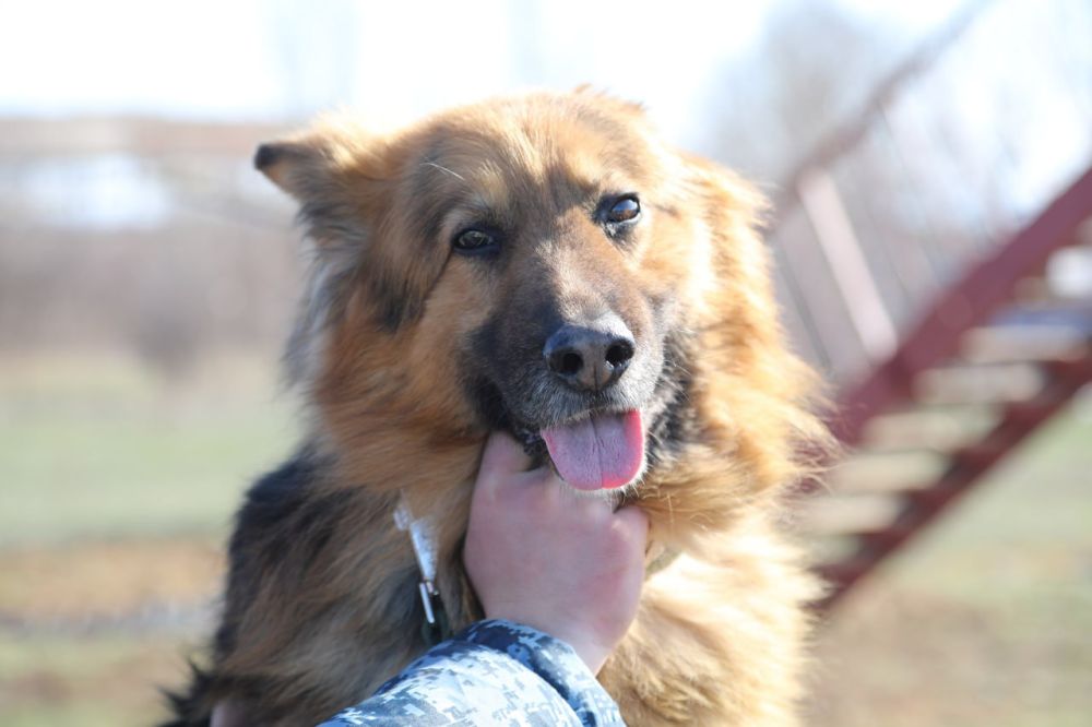 ��� ��������� ������ ������ ��� �������?