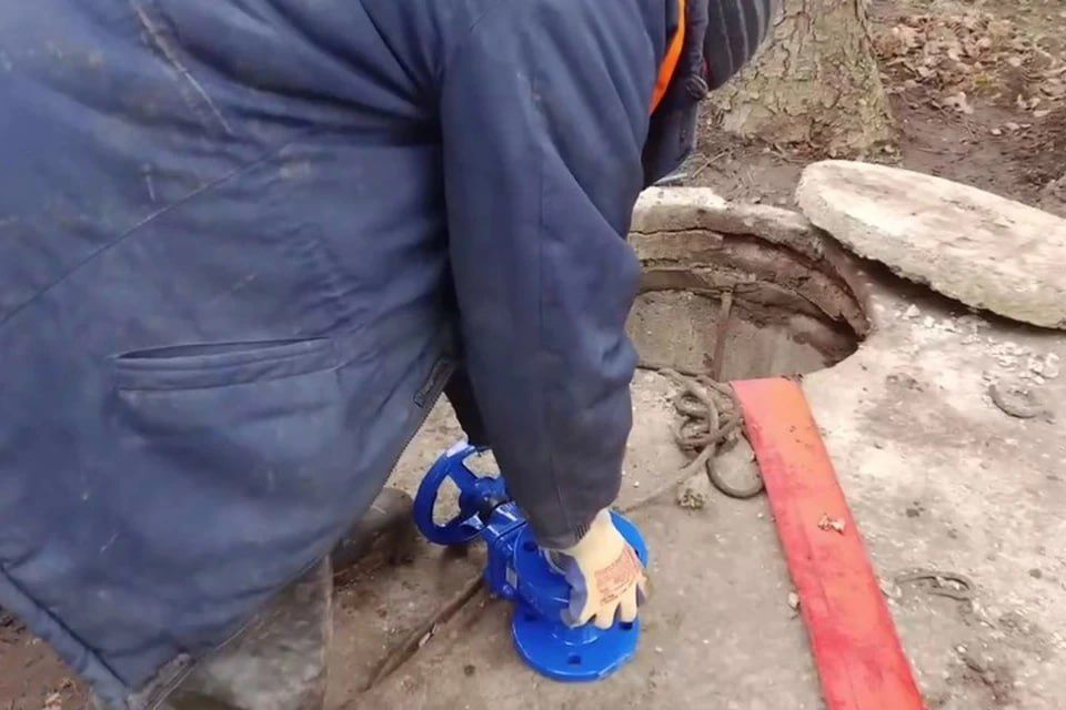 � �������� �������� ��������� ��������� ������� �����������