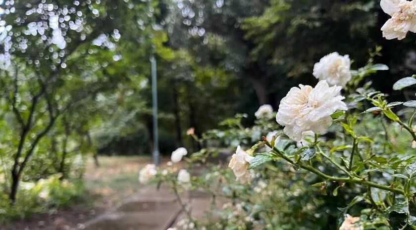 ����� 200 ���. ������ ������� ����� � ������ �������� � ���� ����, ������� �������� � ������������ ����������� �����. �� ���� �� �������� �������� �������� ��������� �������� ��������� � ��������������� ������ ���������