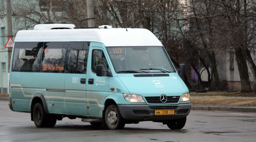 ��������������� ����� ��������� �������������� ����������� � ���������