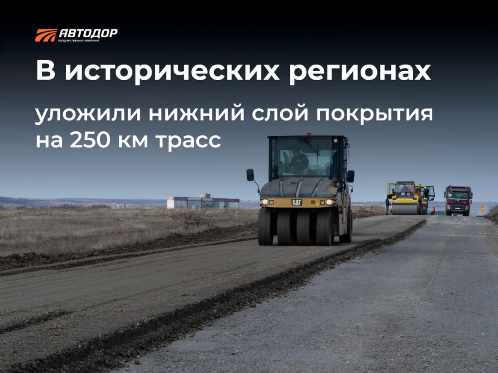 ������ ���� �������� �� ��������� �������� 2025 ���� � ������������ �������� ������ �� �����