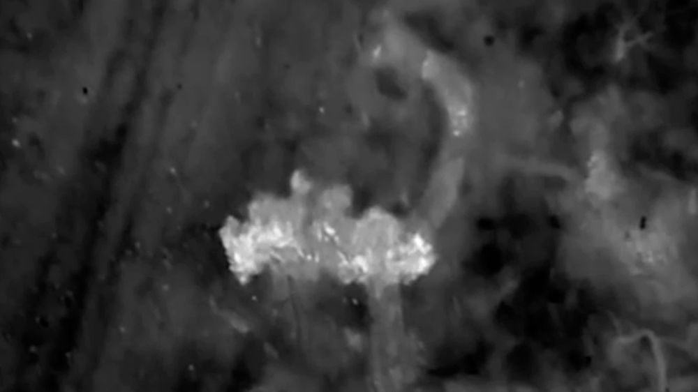 �� �� �������� ����� ���������� ��������* �������� � ���