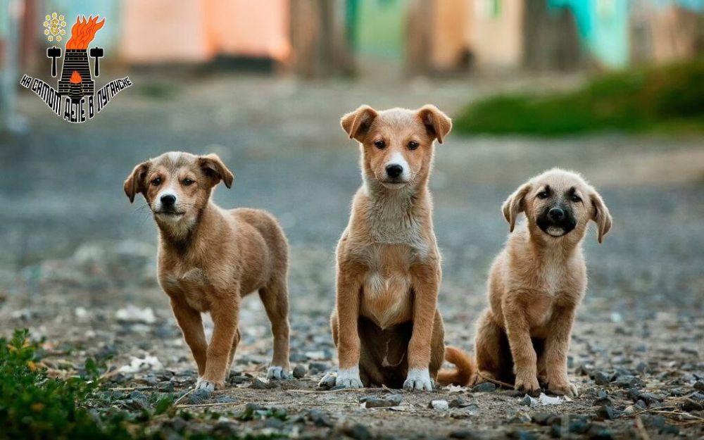 � ��� ���������� � ���������� ���������