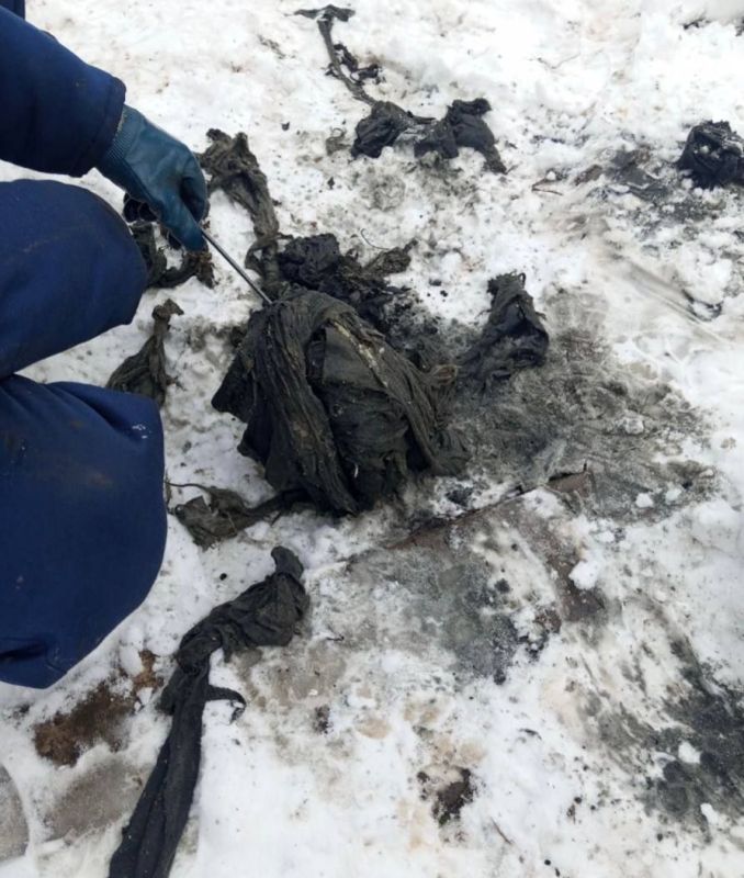 � ��������� ����������� "�����������" ��������� ������� ����� �� ������� �����������