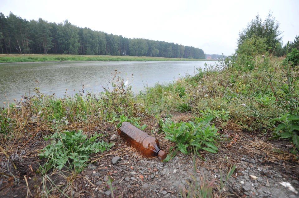Школьники и экологи Луганска привели в порядок берег реки Лугань
