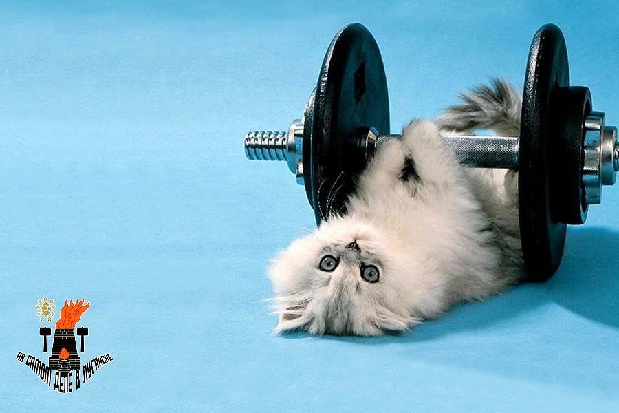 ����� - ��� �����!. � ���������� �������� ������� ��� ������� �������� �������. �� ��� �������� 514 ��� ������ �� ������������ �������