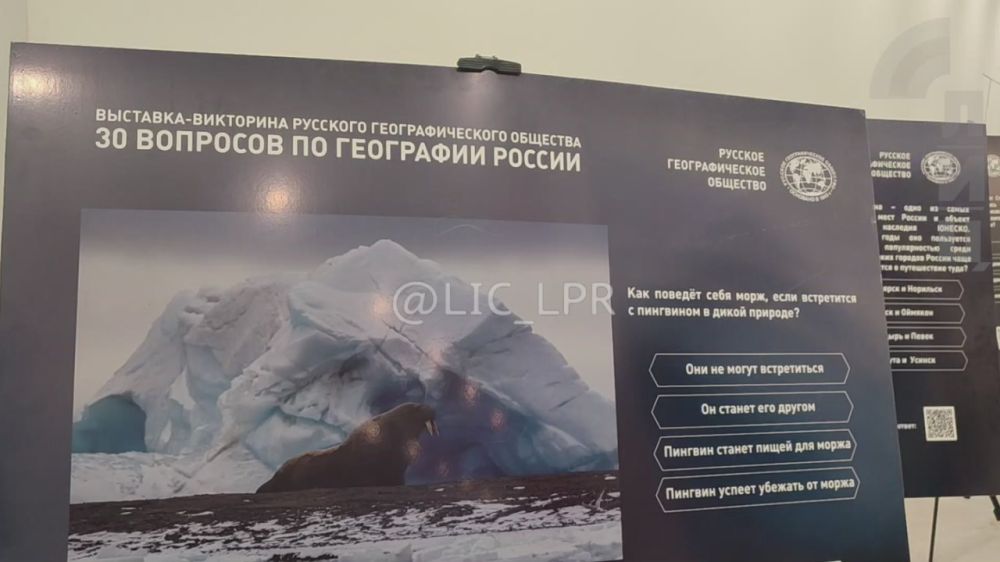 Молодежный центр Русского географического общество (РГО) в ЛНР открылся в Луганском государственном педагогическом университете