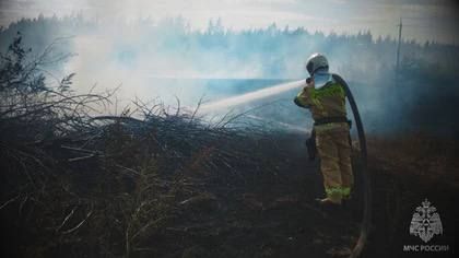 �� ����� � ��� �������� 14 ����������� �������