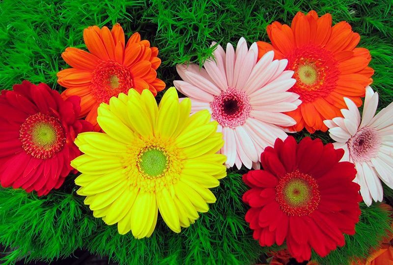 200 ����� ������ ������� ����� � ������ ��������