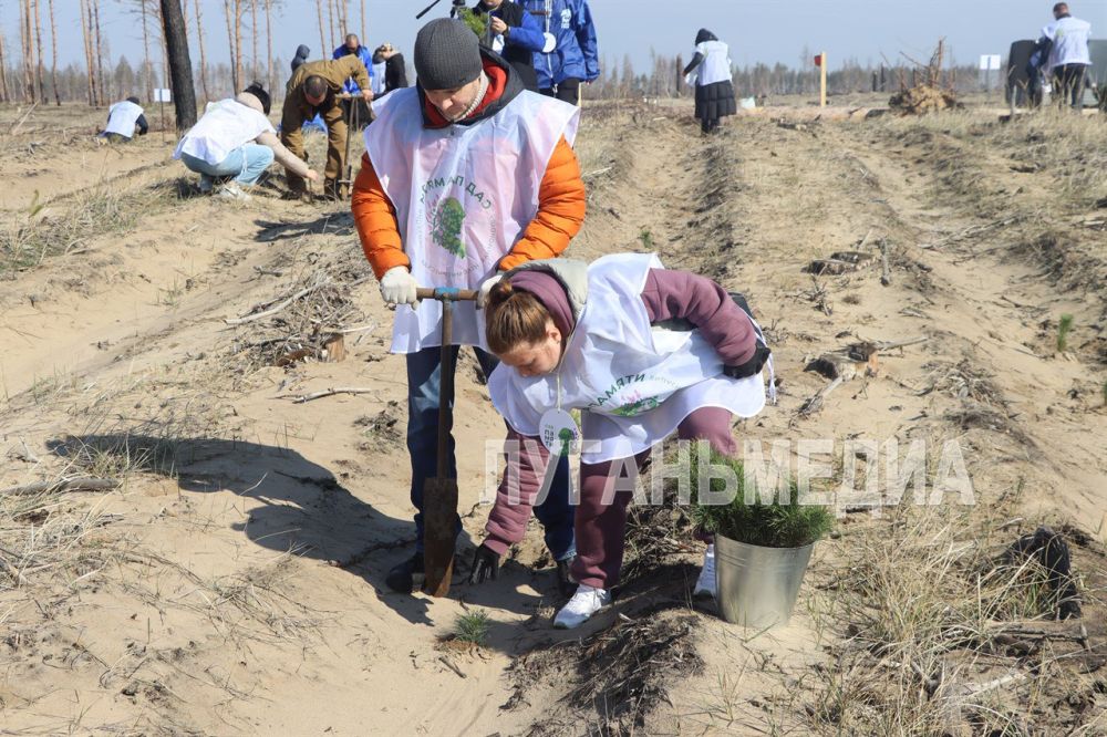 ������������ ��������� �������� ��� ��������� � ��� ��� ��������������� ������������� ��������� ������� ���������� ������������� �����, � ���� ������� �� ���������� ��������������� ����������� ���� �������� 27 �����...