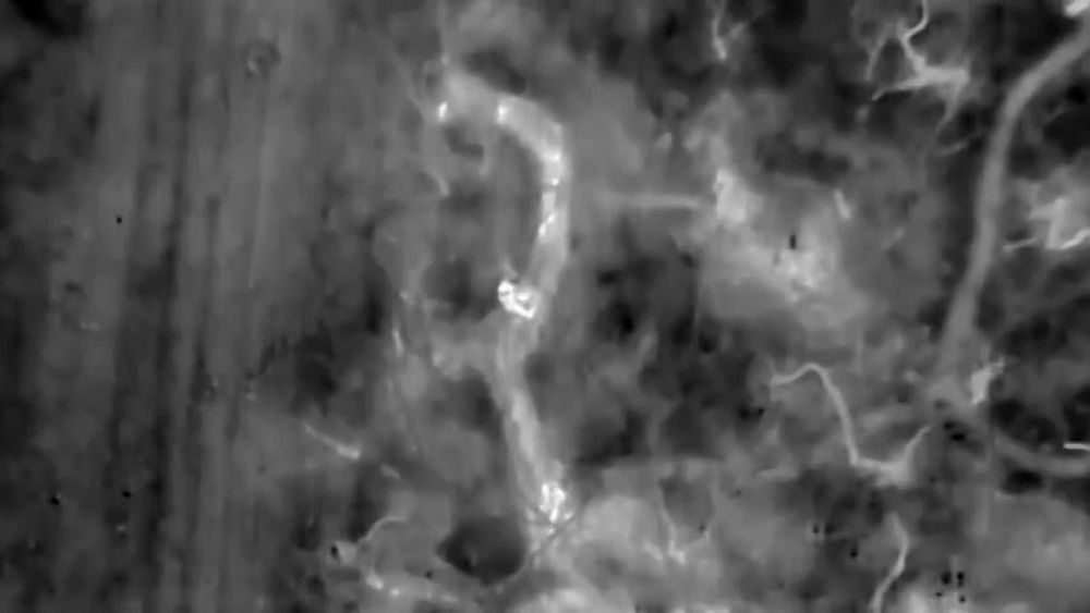 ������� *"�����" ����� � ����� �� ������ � ���������� ������ ���