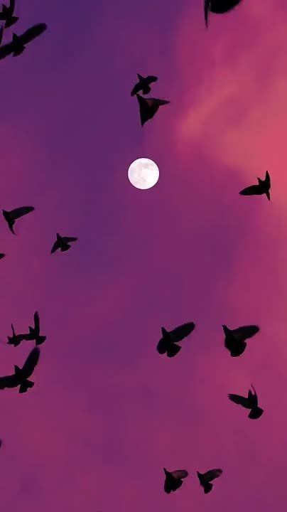 ��������� ��� ���� � �������� ���, ������ �������� ��� ����� ���, � ������ ����� ������� ��� �����