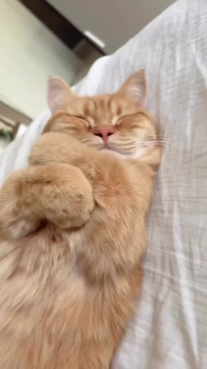 ���� �������� � ���� ���. ���� ��� � ���� ���� �����