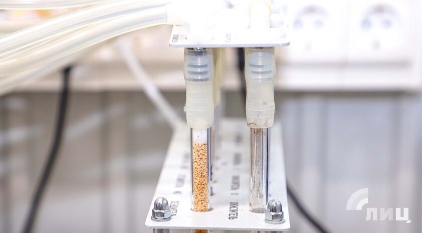 ������� ����������� ������� � �������� � �������� ������� � ������������� ���