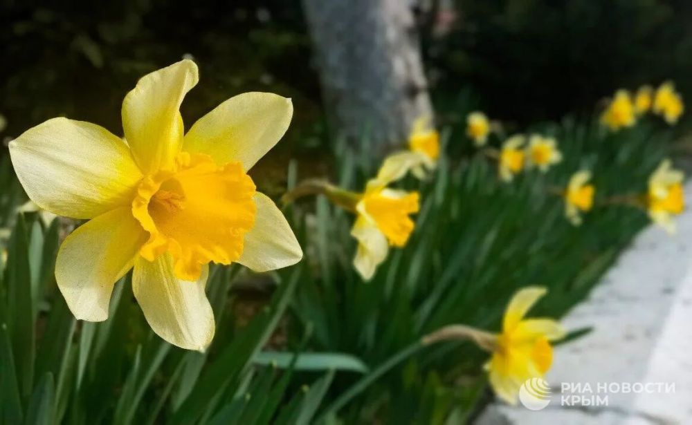 ������ �� ����� ����������� ������