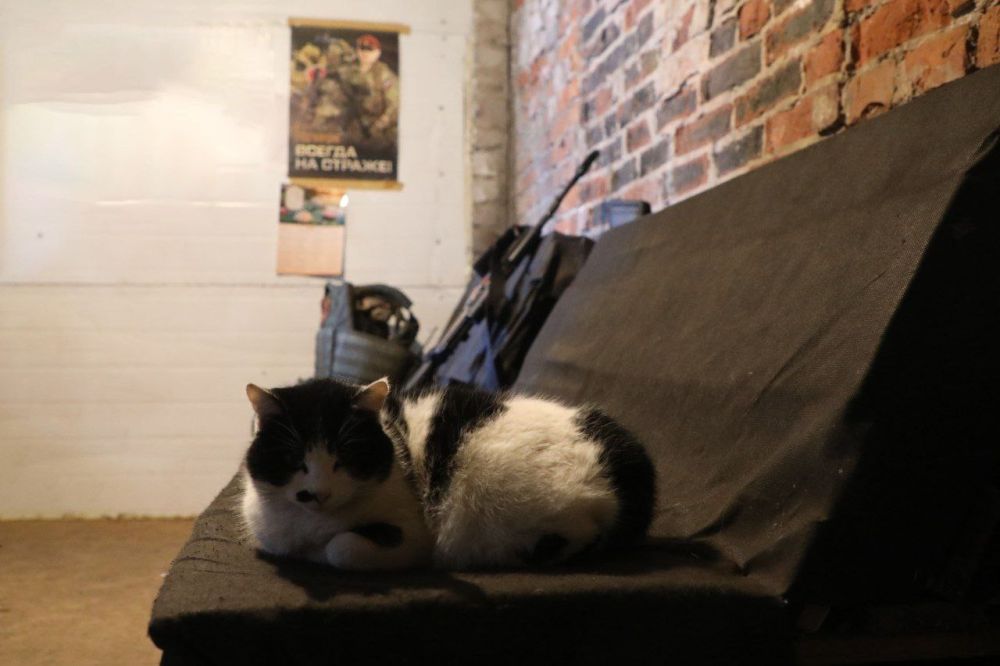 ������� ����� & ������� ������